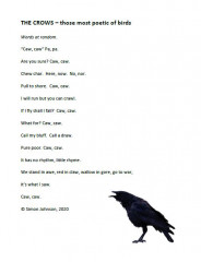 the crows