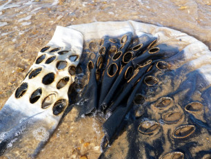 Debbie Lyddon: Sluice Creek Cloth Masts and Halyards 1