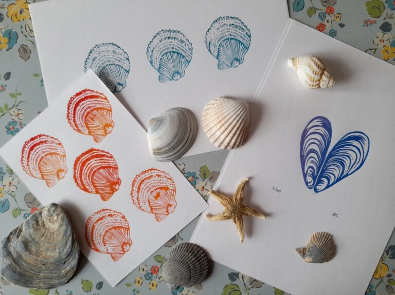 Seashell prints