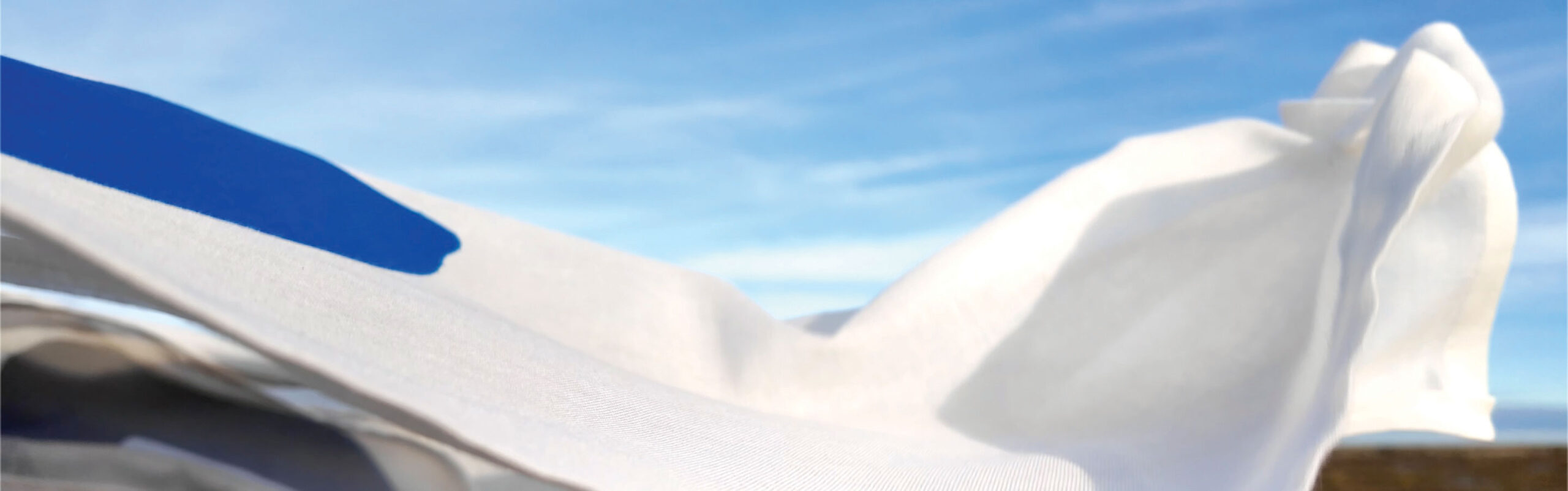 THIS in this tidal place slice