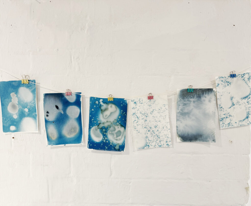 Rachel Wright Cyanotype